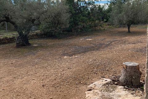 Finca i El Perello, Tarragona, El Perello - € 77.000 | Ref: Finca Manu Ampo - foto 16